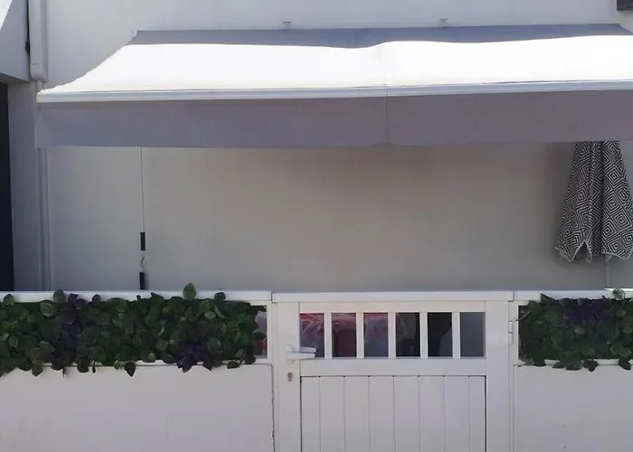 Gibshouse Megan بويرتو ذيل كارمين